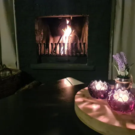 Vakantiehuis Strandslag 313